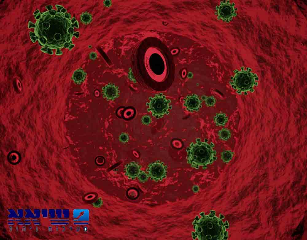 אבטחת מידע בארגון בעבודה מהבית בעקבות נגיף הקורונה